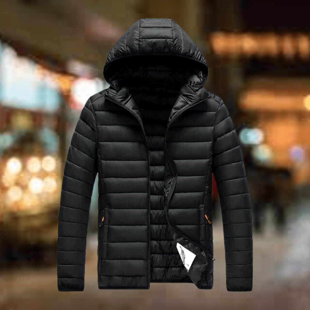 W&N™ | Padded Jacket with Hood